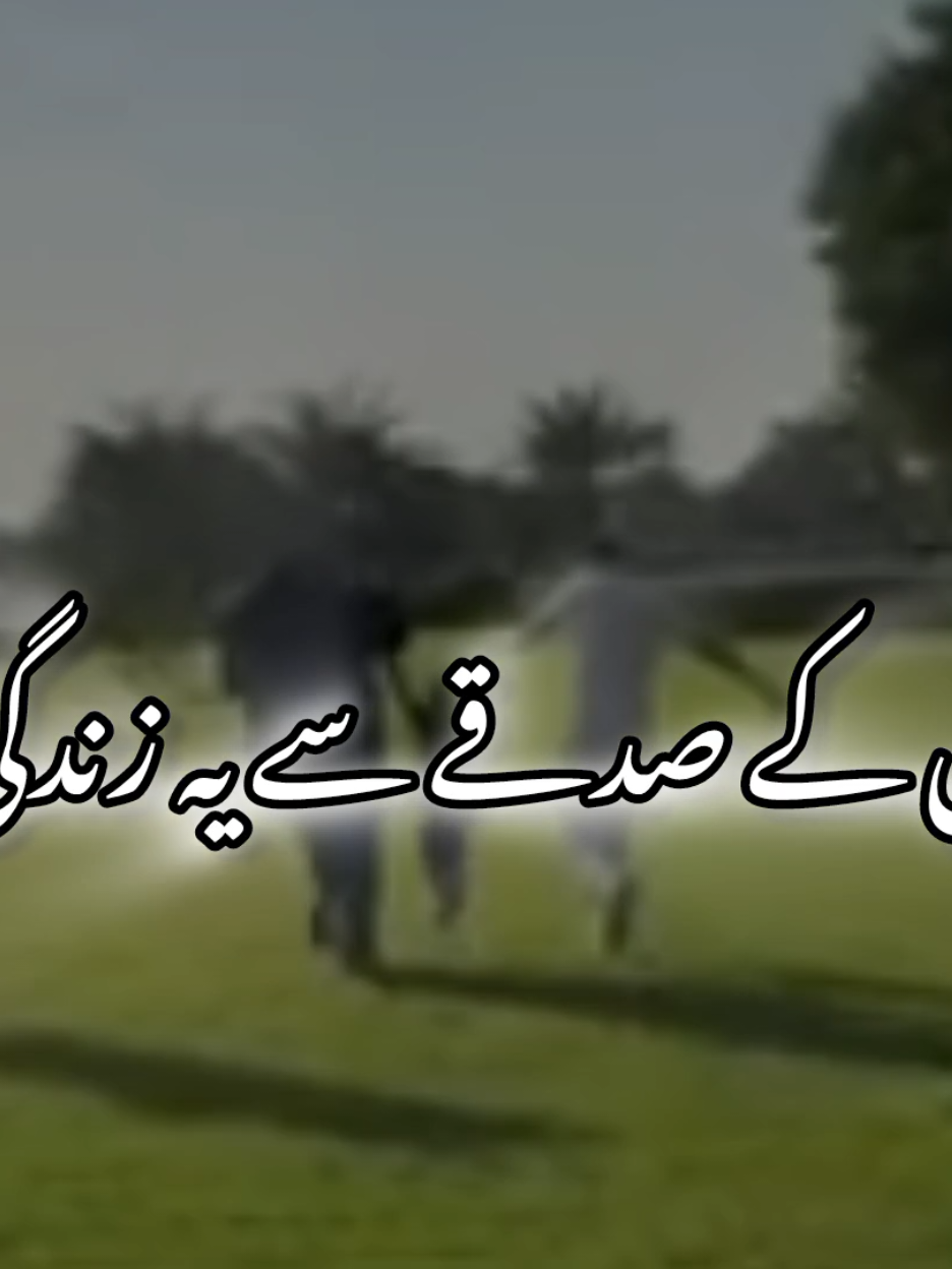 #کیا لکھوں اج ماں باپ کی شان میں جن کی عظمت لکھی رب نے قران میں ۔🌸🥹🥀❤️❤️‍🩹💐#fypviralシ #foryou #trending 