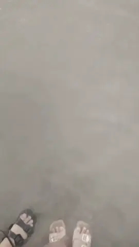 #CapCut 