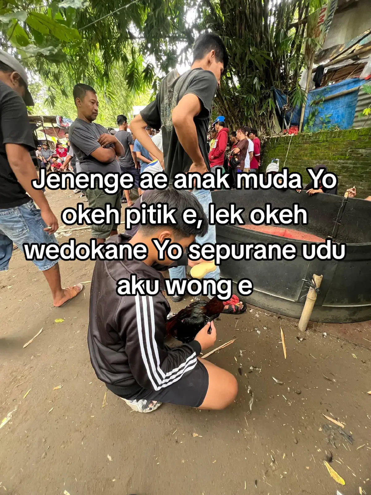 #fypシ゚viral #peternakmuda #hobymahal #apitasorjii #HendriFarm🐓🚀 
