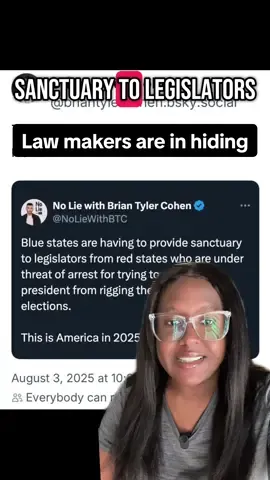 Lawmaker should not have to be in hiding to protect democracy. ##america##thisisamerica#greenscreen 