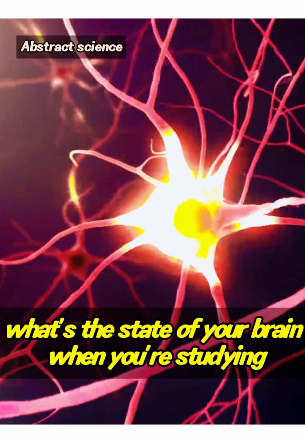 what’s the state of your brain when you’re studying#science #usa🇺🇸 #usa_tiktok 