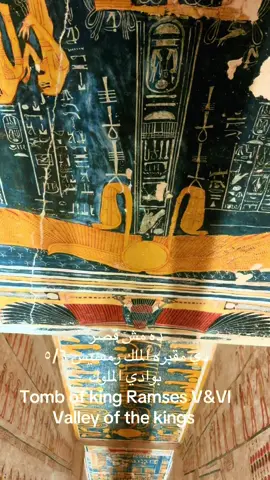 #valleyofthekings #luxor #luxoregypt #egypt #مصر #tourguide #مرشد_سياحي #الاقصر_اسوان_سوهاج_قنا #الشعب_الصيني_ماله_حل😂😂 #egyptian #الاقصر 