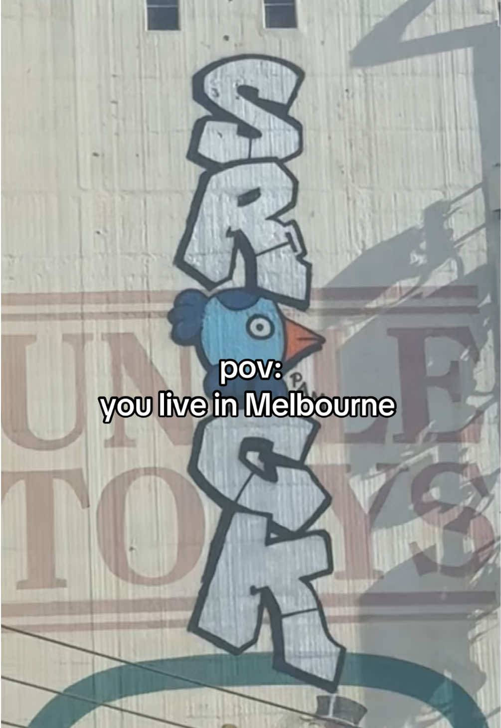 Pam sees me more than my fam does #melbourne #pamthebird 