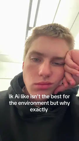 Don’t flame me I just wanna be educated 🙏#ai #environment #nestle #water 