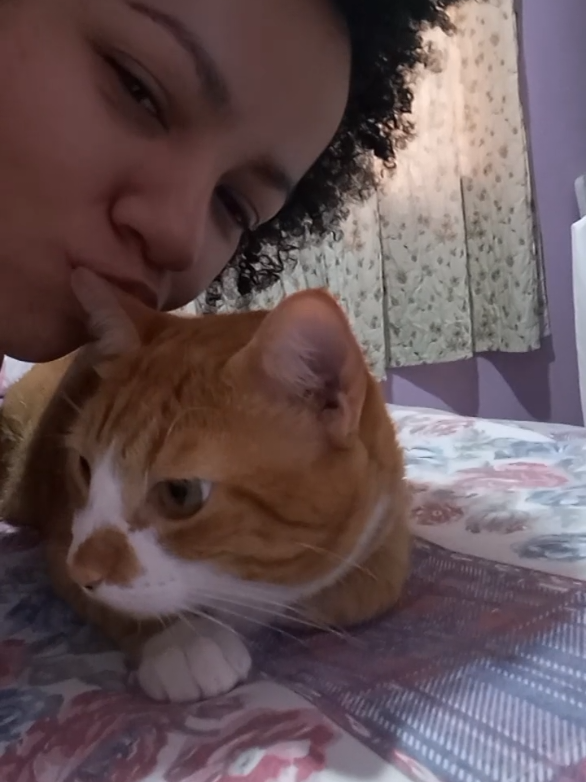 O gato balofo que serve de travesseiro 🤭🤭🤭 😂 #gatos #gato #cat #catsoftiktok 