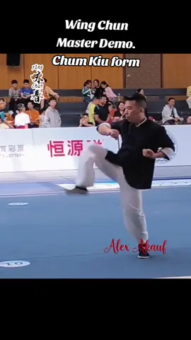Wing Chun Master Demo,  Chum kiu form #wingchun #vingtsun #wingtsun #chumkiu #wingchunform #wingchunmaster 