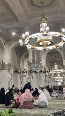 والبركة بكل الشعوب ماشاءالله بس هذا الشعب ليفل عالي يعجبوني مره الله يتقبل منا ومنكم اجمعين🤍🫶🏻#مكة #مكة_المكرمة #مكة_المكرمة_السعودية #مكةالمكرمة #مكة_الان #مكة_جدة  ‏#keşfet #fyp #capcut #capcutamor #اكسبلورexplore #fypシ゚viral #fyppppppppppppppppppppppp #viralvideos #هاشتاق #الشعب_الصيني_ماله_حل😂😂 #fypdong #fypage #viral #اكسبلور #amazing #america #london #jeddah #english #makkah #العراق #السعودية #بغداد #تركيا #Vlog #vlogs #video #videoviral #videos #stitch #skincare #paris #travel #snow #trending #trend #trendingvideo #اكسبلور #الرياض #الجزائر #المغرب #تونس #مصر #kesfet #comedia #cute #vaiprofycaramba #Love #onepiece #tiktokindia #ڤلوق #فلوقات_تيك_توك #السعودية #الرياض #تغطية 