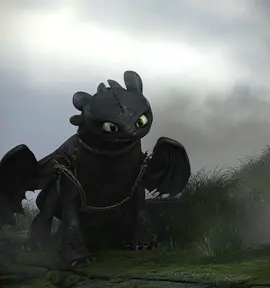 Quick. || #httyd #howtotrainyourdragon #hiccuphaddock #cartoon #edit #fyp 