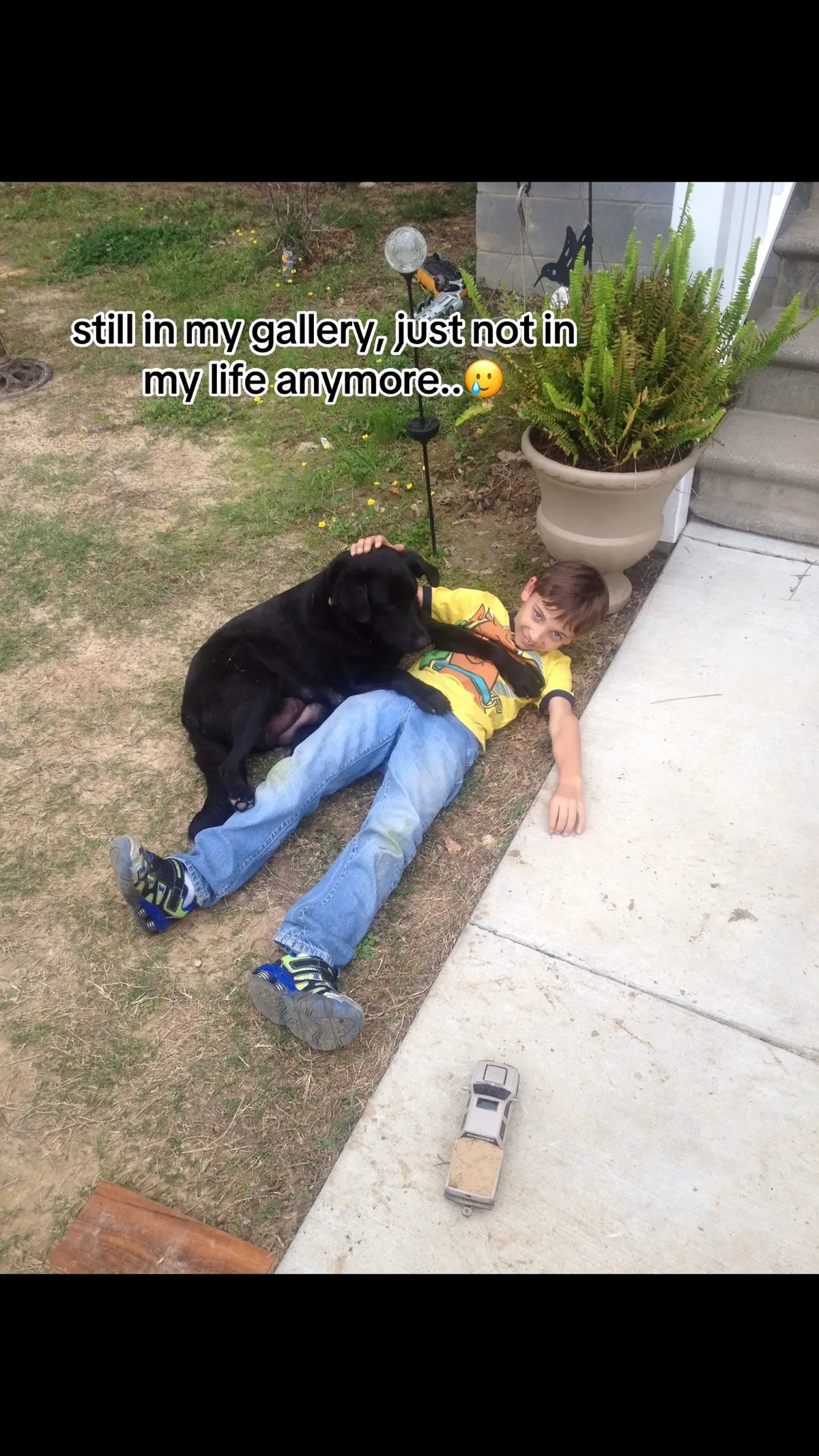 Lily and Bama🥹#thestuddedmonster #amansbestfriend #f250 #blacklab 