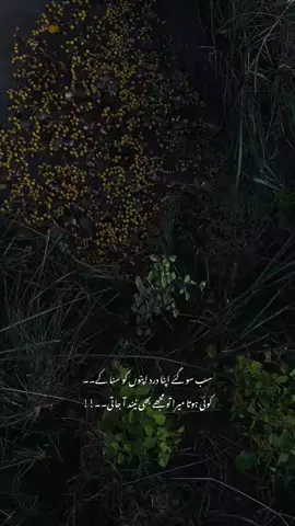 #fyp 