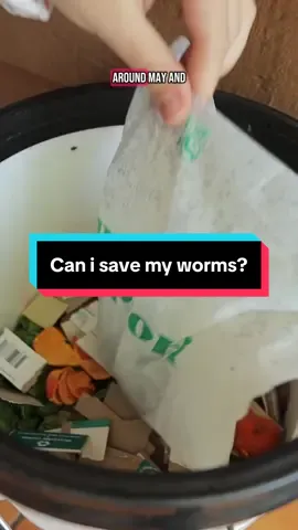 Confession: my worms hate me 😫 I created a toxic worm bin infested with flies 🤢 What I’m trying: - chopping my food waste smaller  - more browns!!!!  - more regular aeration  - more regular dumping of the compost tea  But how do I get rid of the flies?  I do the “lasagna” method: I put food waste down and then more browns on top of it every time. What gives?  Vermicompost tips are welcome (and badly needed) !!  #composttips #wormbin #composting #howtocompost #wormcomposting 