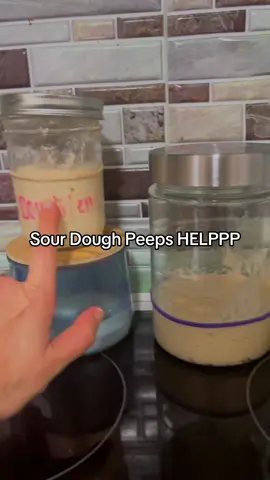 Help me please #sourdough #sourdoughstarter #day2 