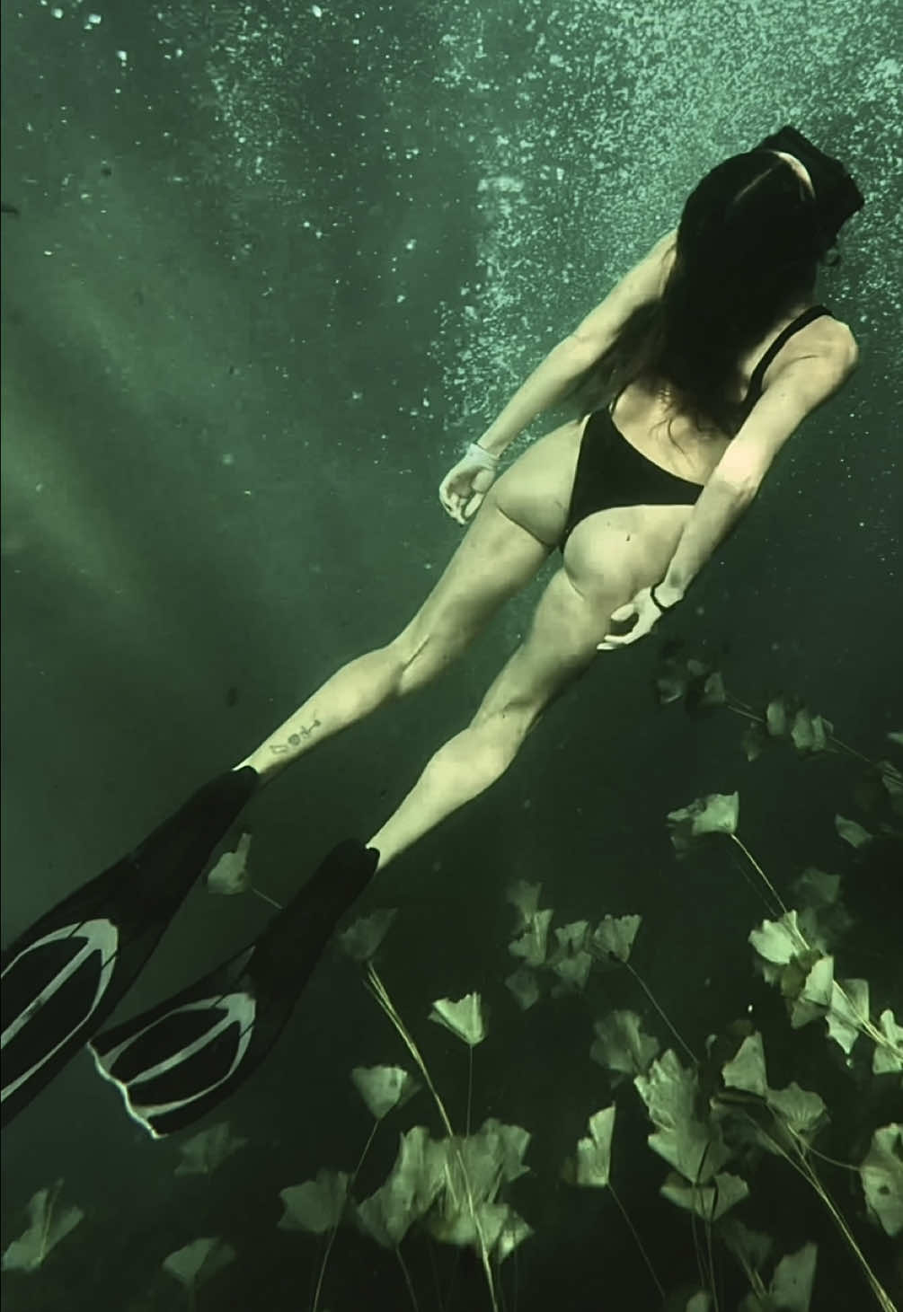 A veces solo tenemos que recordar que  únicamente tenemos esta vida; esta oportunidad de vivir al máximo cada instante🫶🙏  #apnea #snorkeling #cenotes #cenoteszapote #bepresentinthemoment  #puertomorelos
