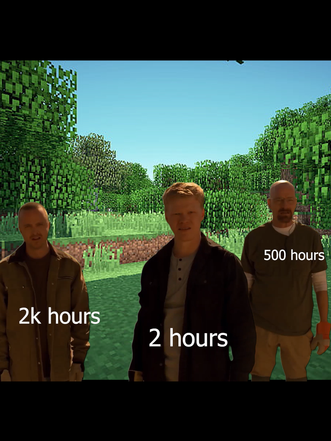 #foryou #Minecraft #meme #breakingbad #todd