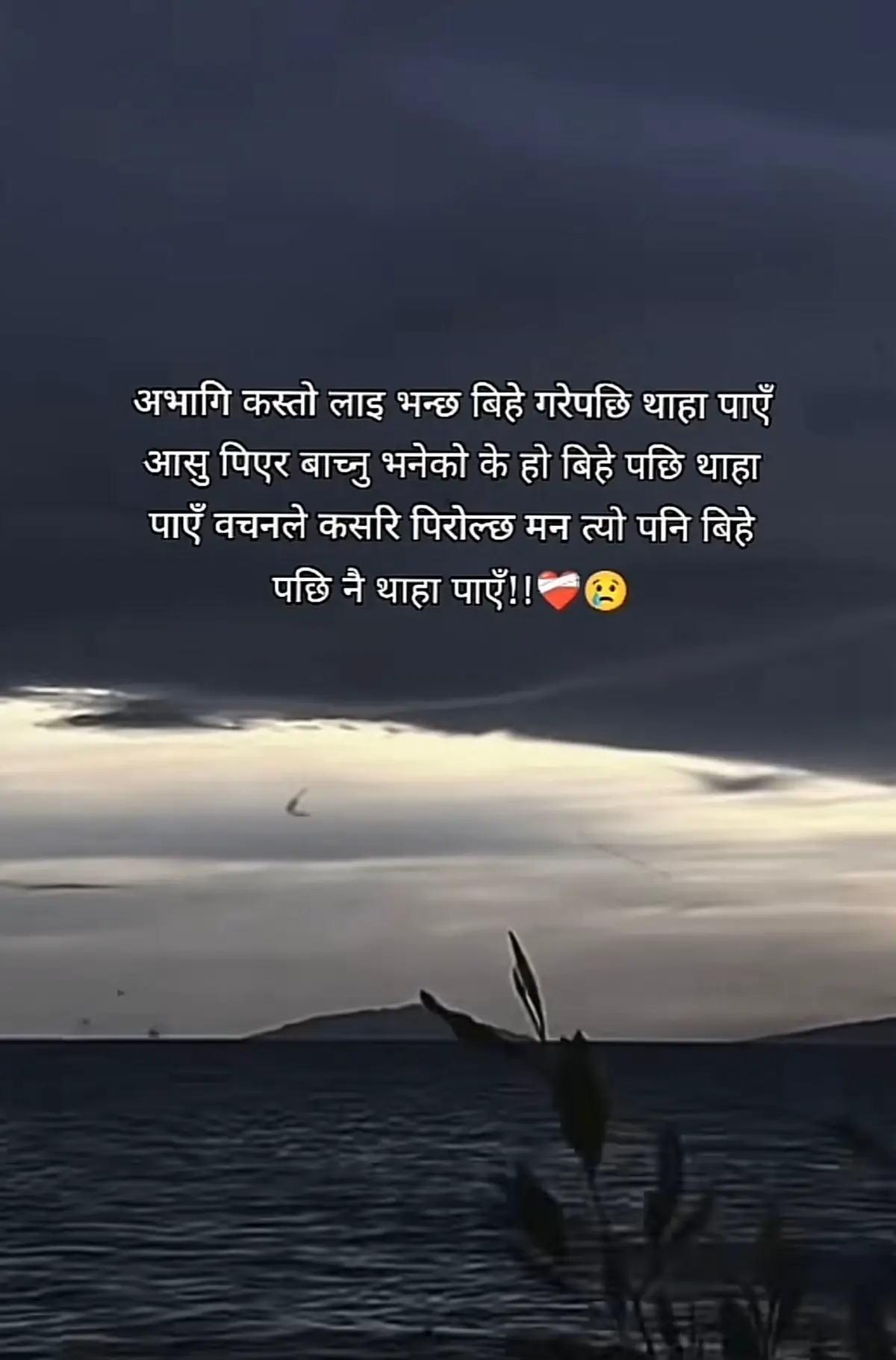 म सबैलाई खुसी पर्ने चकरमा अन्त्यमा आफै  पो एक्लो भै सके छु🥹🙏#dearlife #जिन्दगीको_भोगाई😢 #fyppppppppppppppppppppppp #fyppppppppppppppppppppppp 