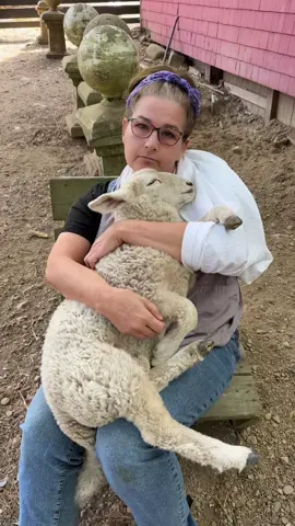 Lamb Therapy 