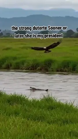 #duet #dutertesupporter #indaysara #forpresident #inday #indaysaraduterte #vpsara #intel #vip #viralvideo #viral #fypシ゚viral #highlight #fypppppppppppppppppppppp #trending #ofw #views #creator #creatorsearchinsights 