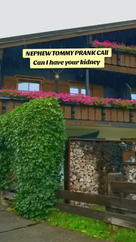 #nephewtommy #foryou #fyr #viral #callprank 