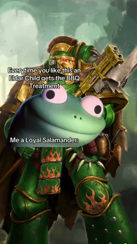 Just a loyal fire lizard #lizard #warhammer40k #salamander #Meme #MemeCut 
