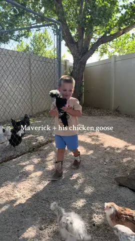 he loves his chicken 😂 #funnytoddlers #maverickandgoose #topgun #chickens #polishchicken 