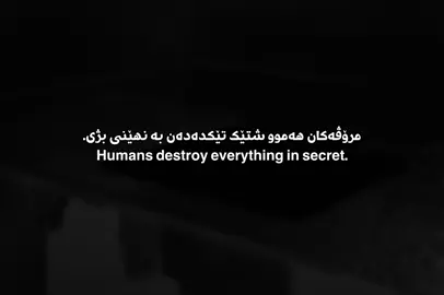 6:50🖤#foryou #video #tiktok #haryad_777 #viral 