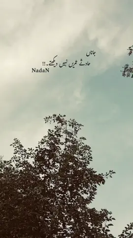 🥹🥀 | #aesthetic #tiktokviral #tiktokteamofficial #unfreezemyacount #viewsproblem #foryoupageofficial #viral_video #growmyaccount #foryoupage #fyppppppppppppppppppppppp #NadaN 