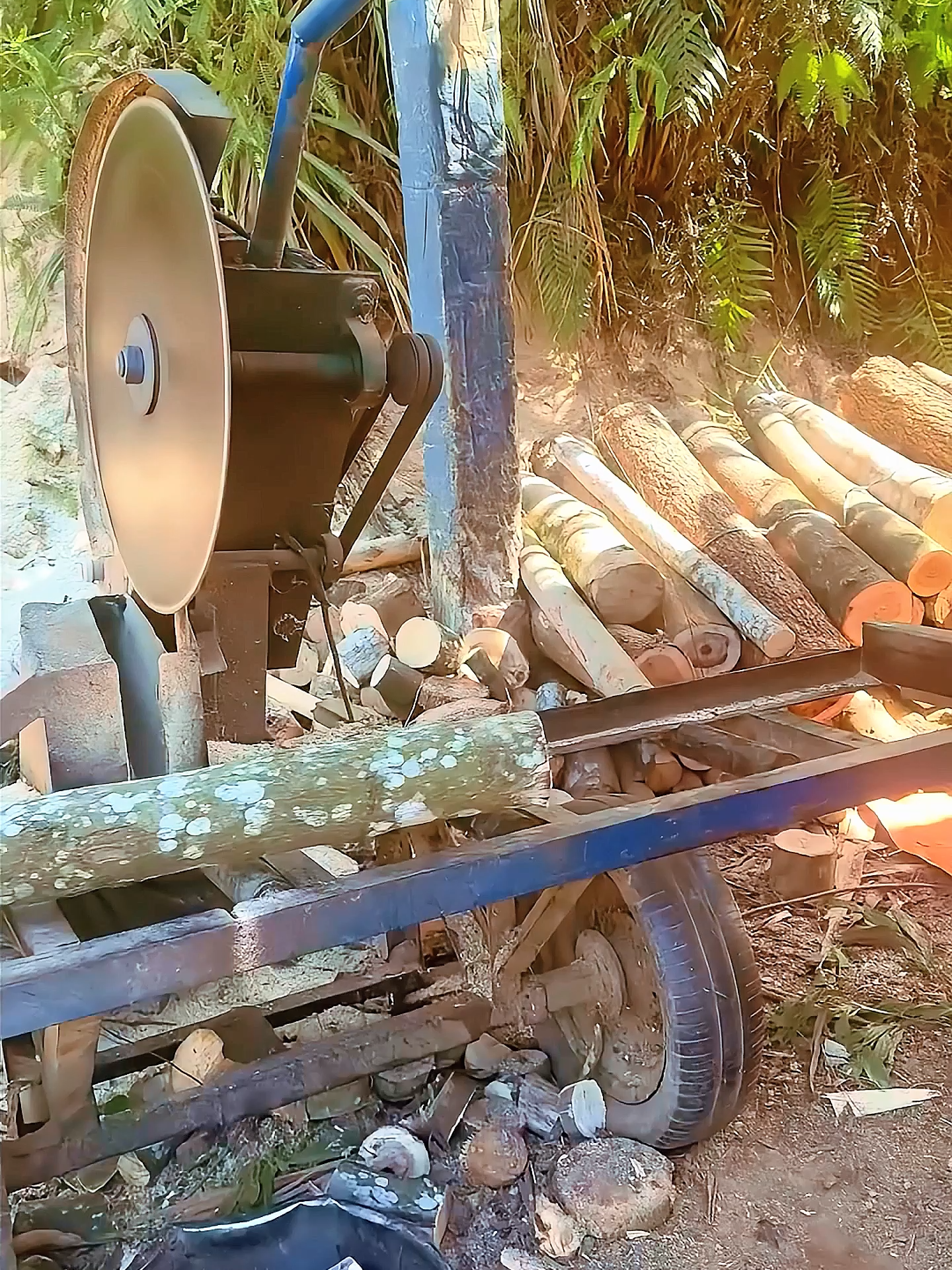 Wood cutting💕💕💕💕#woodworking #asmrwood #machine