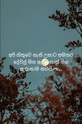 #🥰 #trending #foryoupage #romantic #fyp #foryou #