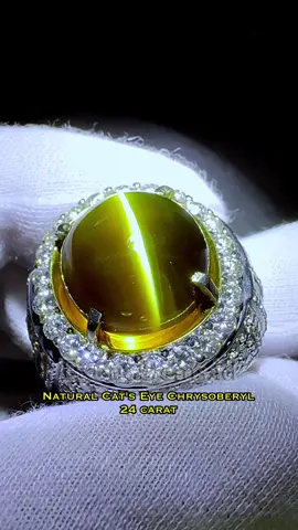 Natural Cat’s Eye Chrysoberyl Honey Colour 24 crt  Certificate GRS recut Very Stong Line | Clean | Collector Item Gold & Diamond Ring ExoticGems Collection #chrysoberyl #chrysoberylcatseye #srilanka #catseye #catseyehoney 