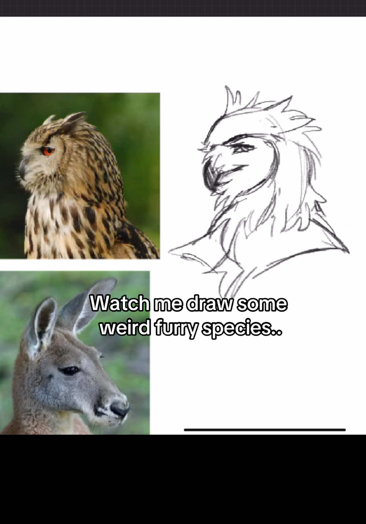 Drew a few unique furry species. Let me know what you think. #furryart #furry #arttutorial #furrytutorial #artbook #speedpaint #furryfandom  