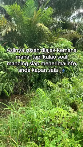 Infokan kapan saja saya siap meluncur 🎣#promomakangajian #0mdplfishing #storymancing #hobymancing #katakatamancing #mancingliar #mancing #boncos #hobimancing 
