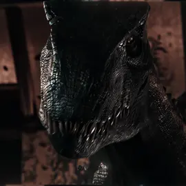 I KNOW. | cc “sorna” (adjusted) | #daqvann #jurassicworld #jurassicworldedit #jurassicpark #jurassicparkedit #indoraptor #indoraptoredit #indominusrex #indominusrexedit #edit #fyp #aftereffects 