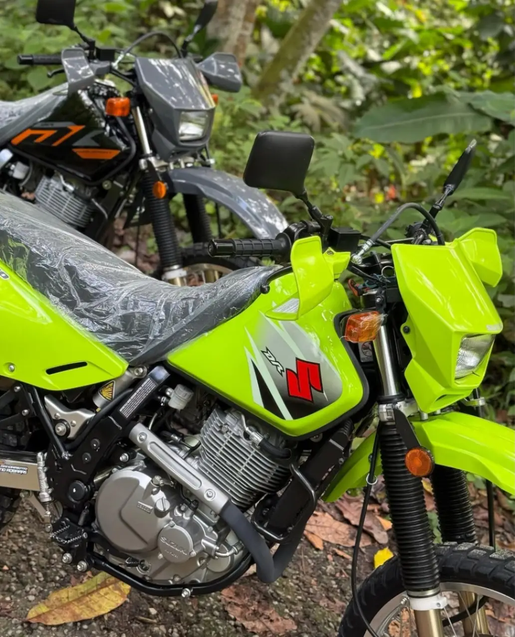 @SoloAutos_VIGIA 🤜🤛