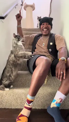 Hanging over my bestie house for the day and I’m finally getting some action out of his cats! They were afraid of me at 1st but I think they are warming up to me! This little one name is Theodora! Look at the other kitty behind me checking out the scene lol #TheCatRapper #Cat #Cats #Kitty #Kitties  
