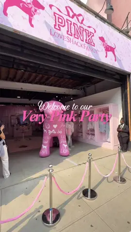 TODAYS THE DAY!! 🎀Welcome to the pink pop up party of our dreams 🌸💗  Meet us at 45 Grand St. from 12-7 to shop our limited-edition collection with @VSPINK 🎀 #nyc #popup #pink #vspink #Love #collab #iconic