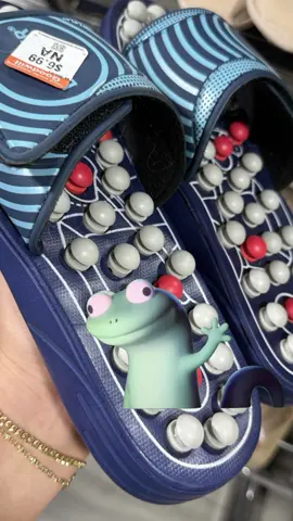 What are those?? #lizard #thrifting 