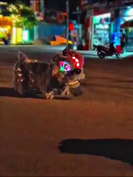 #CapCut nhớ nghề quá ae ơi#lansurong #xuhuongtiktok 