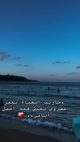 #CapCutAmor #شعب_الصيني_ماله_حل😂😂 #فرنسا🇨🇵_بلجيكا🇧🇪_المانيا🇩🇪_اسبانيا🇪🇸 #راي_جزائري💞🌼 