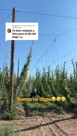 Respuesta a @Maria Mota 