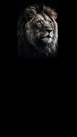 وأميرنا يالبغدادي