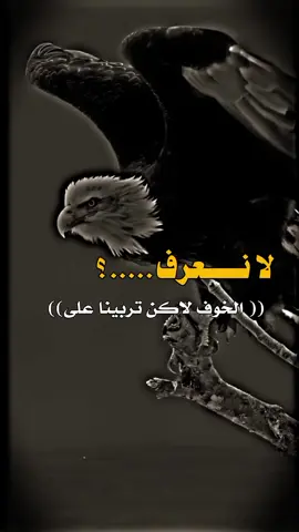 #مجرد________ذووووووق🎶🎵💞 #عبارتكم_الفخمه📌📿 #ستوريات 