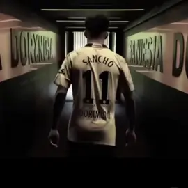 #foryou #viral_video #fyp #viral #fy #bvb #bvb09 #borussiadortmund #foryoupage 