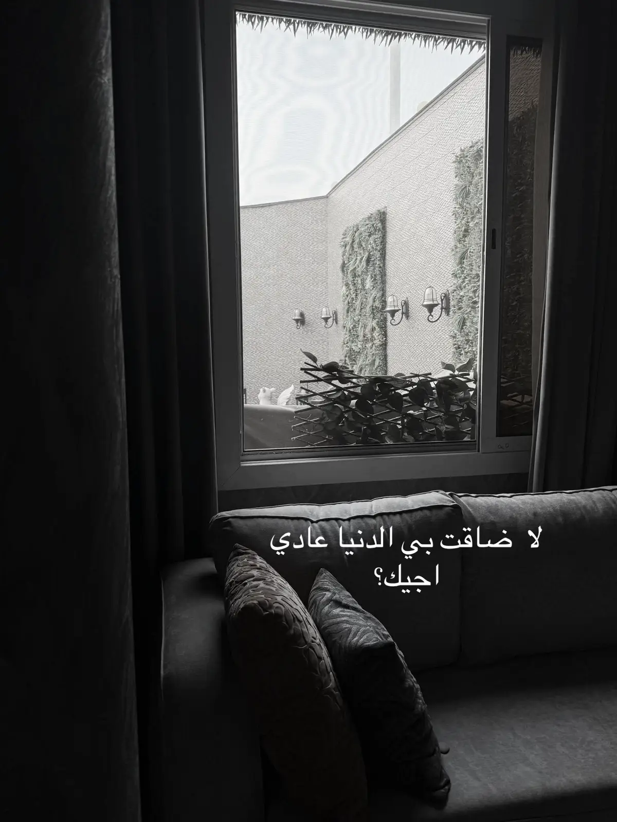 #راشد #ترندات #راشديات💙 #فراق 