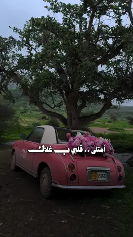 #CapCut #ليتني#راشديات💙 #راشد_الماجد #salalah #salalah🇴🇲 #صلاله2025 #الشعب_الصيني_ماله_حل😂😂 #عين_حمران#خريف_ظفار#خريف_ظفار_2025#ظفار #سمهرم #اوسارا_2025 ##روعه#اهداء#ع#🧡#my_one#diamnod ##احبكم عين حمران 🇴🇲 