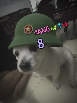 #CapCut 