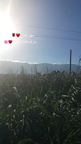 جماعة قبر فضة اسبتو وجودكم🙂👌🏻🌸#حماة_سهل_الغاب_حمويات_سبتو_وجودكن #سهل_الغاب #قبر_فضه_سهل_الغاب #قلعة_المضيق #بنت_سهل_الغاب #تاااج_راسك