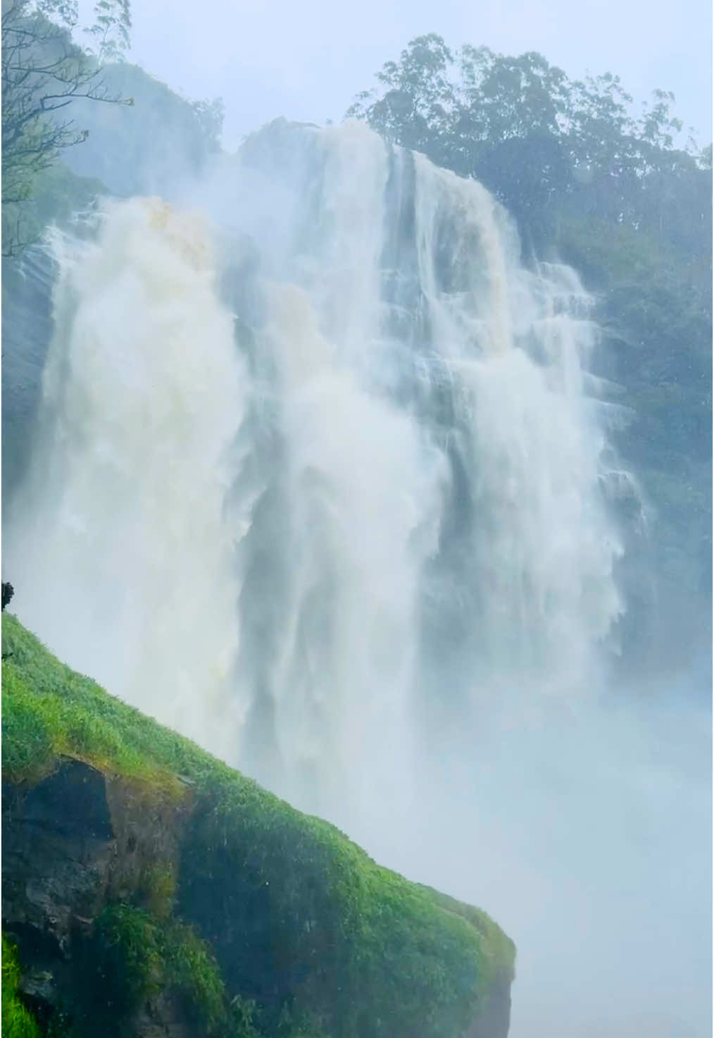 වැස්සට රැස්දෙන බෝඹුරු ඇල්ල🩵 #creatorsearchinsights #travelsrilanka #fypp #travelgirl #adventuresrilanka #beautyofsrilanka #slbloggers #youwillcomebackformore #beautyofsrilanka🇱🇰 #fyp #waterfallsrilanka 