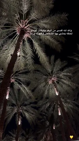 #اكسبلور #explore #بعد #فراق #explore #اكسبلور #