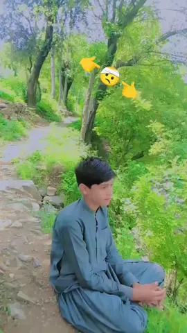 میرا ویڈیو فار یو کے شامل حال رہی ہیں جو اس وقت تک نہیں پہنچ سکتا تھا اور اس سے پہلے دو 