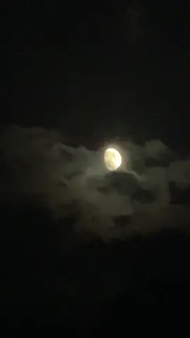 اِک امانت کا بوجھ ہے ورنہ زندگی میرا مسئلہ ہی نہیں 🥀❤️‍🩹🍂#siraj_l3ukhari #fypツviral #aestheticvideos #chand #sadvibes #poetry #caption #saiyaara #clouds #nightvibes 